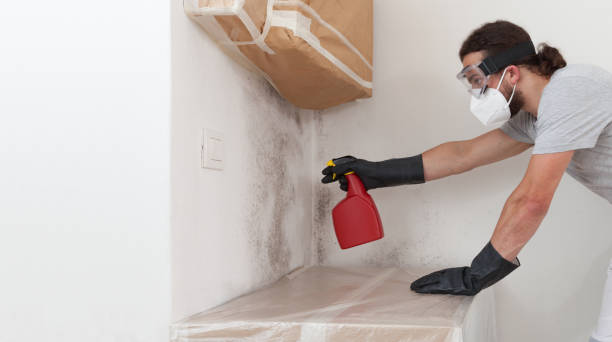 Professional Mold Removal technician working in Alpine, NJ