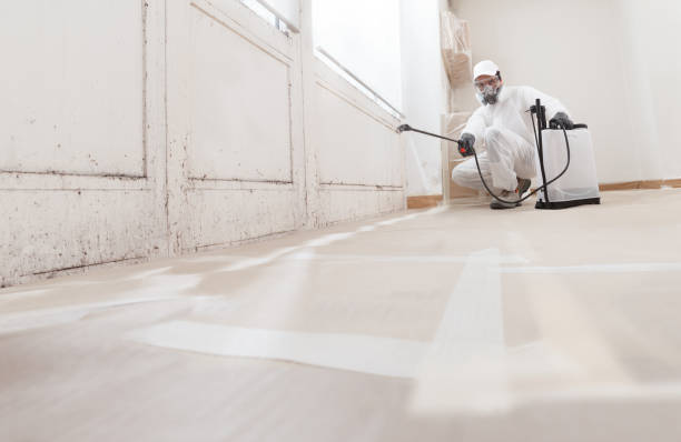 24/7 Emergency Mold Removal experts in Alpine, NJ