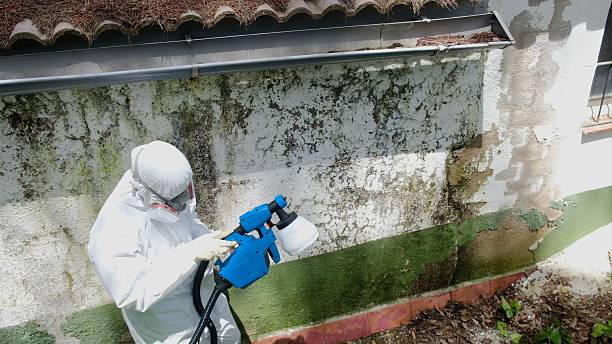 Top rated local Mold Removal specialists in Alpine, NJ